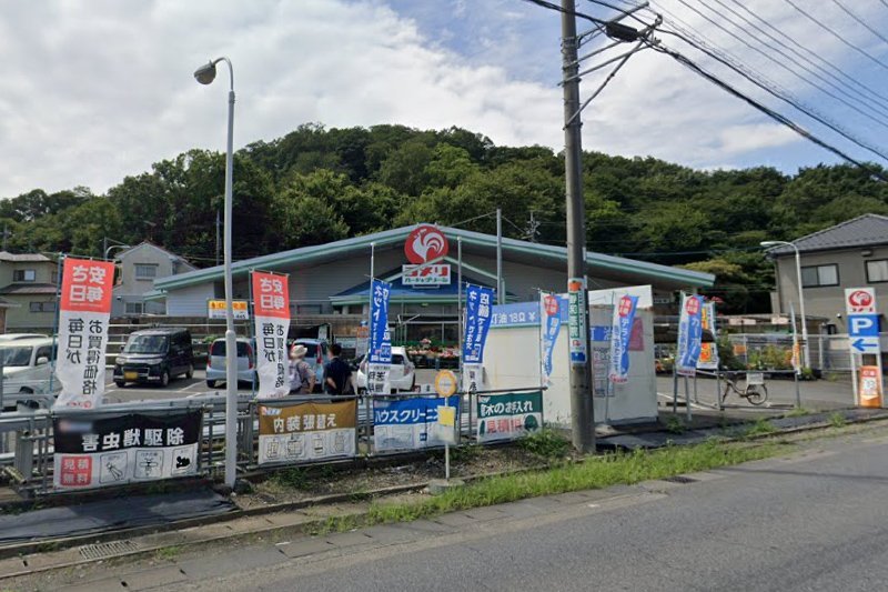 コメリ岩舟店①